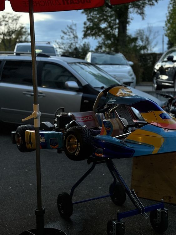 Go-Kart: FA Kart mit IAME X30 SENIOR – Usato da Zürich venduto da noah_retails 2