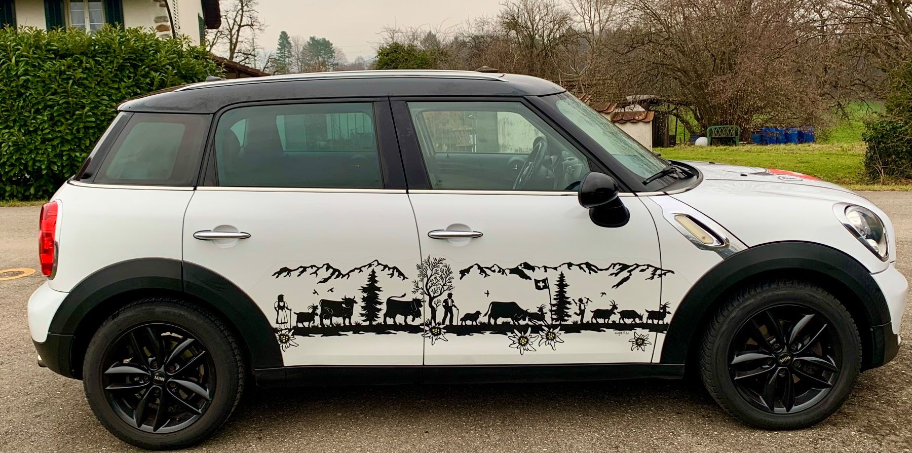 Mini Automobili: Mini Countryman – Usato da Grüt (Gossau ZH) venduto da knusperli02 2