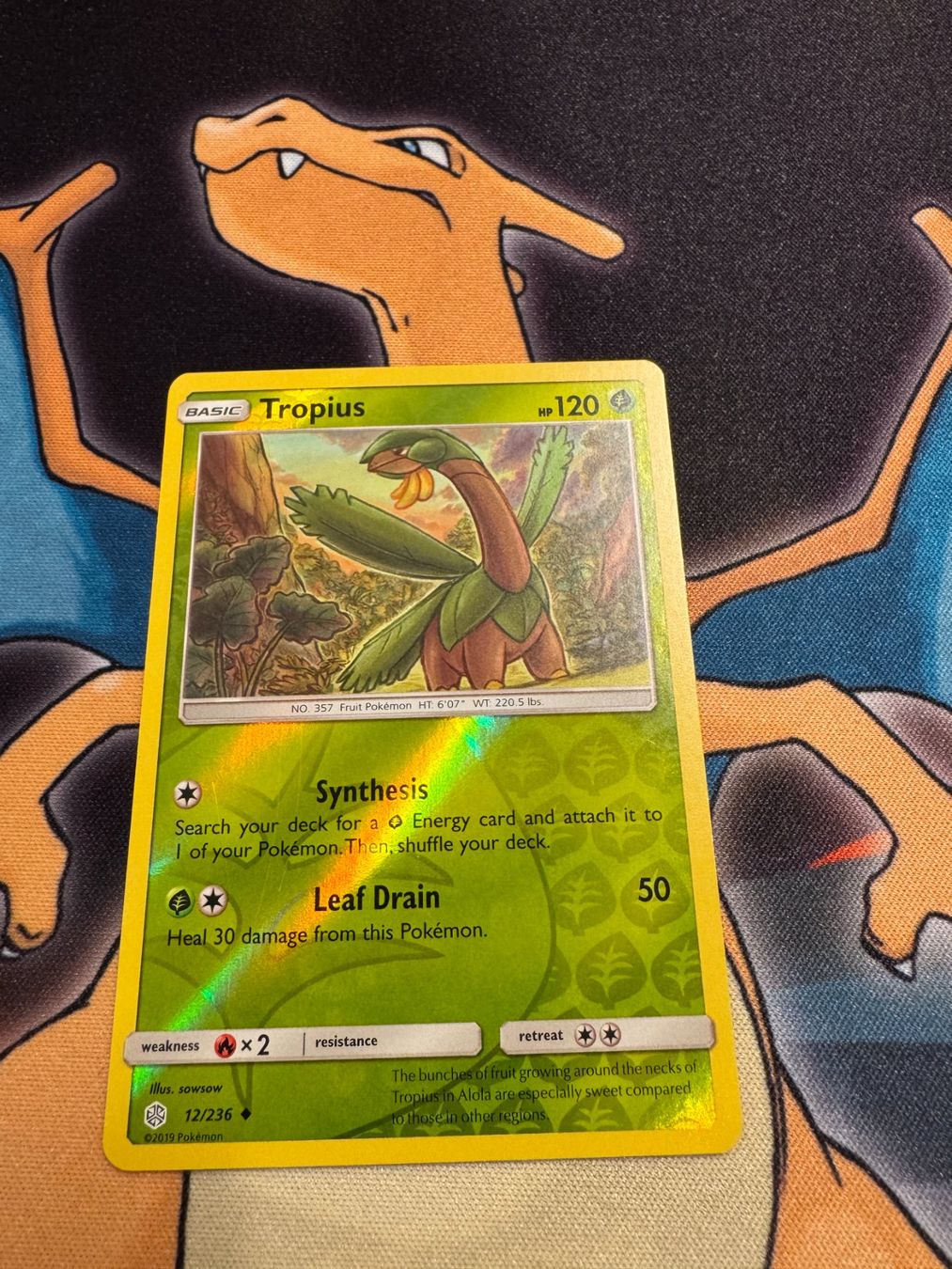 Pokémon Carte collezionabili: Tropius (CEC 12) - EN - Reverse Holo - Cosmic Eclipse – Nuovo (secondo la descrizione) da Bülach venduto da Pfrenzel