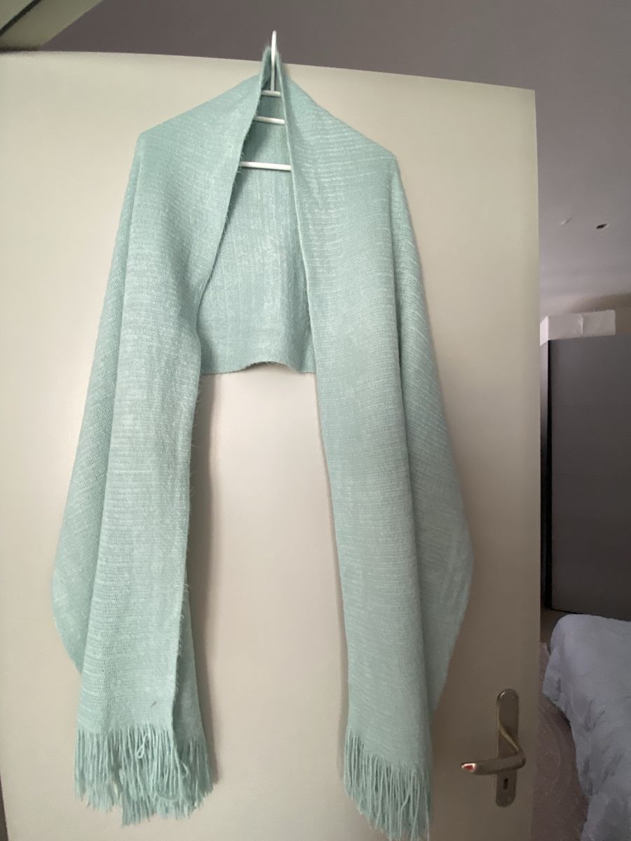 Foulard & Sciarpe: Schal lang mint mit Fransen neu – Nuovo (secondo la descrizione) da Brugg AG venduto da Honeybee6
