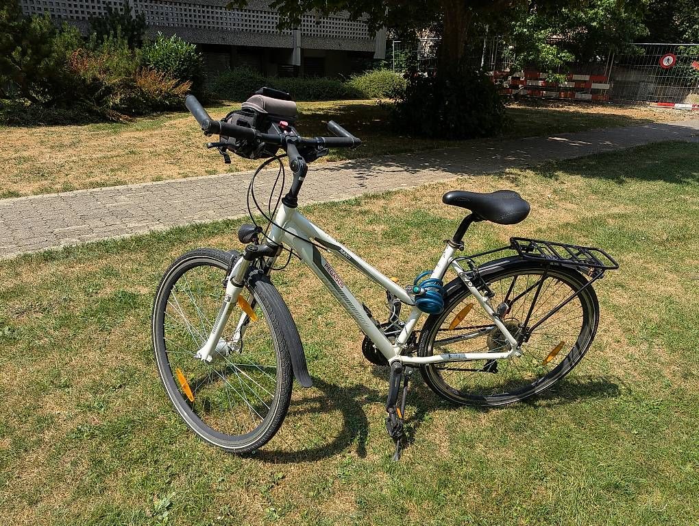Biciclette: Pegasus Avanti Velo – Usato da Bern venduto da deb_t8fl 2