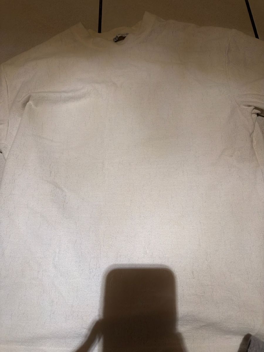T-shirt: Zara Basic Shirt – Nuovo (secondo la descrizione) da Zwingen venduto da M.Krichel_18