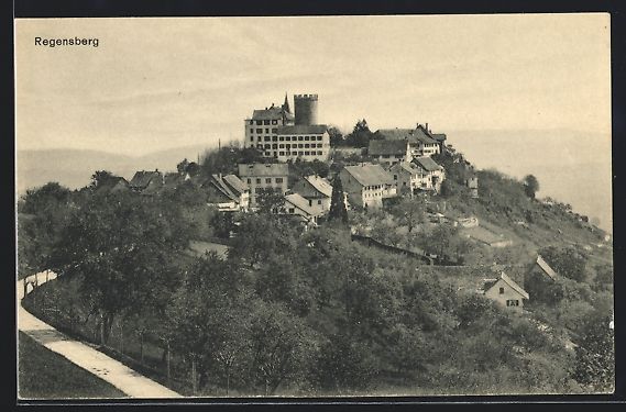 Cartoline postali: AK Regensberg, Ortsansicht mit Schloss – Usato da Berlin venduto da bartko-reher