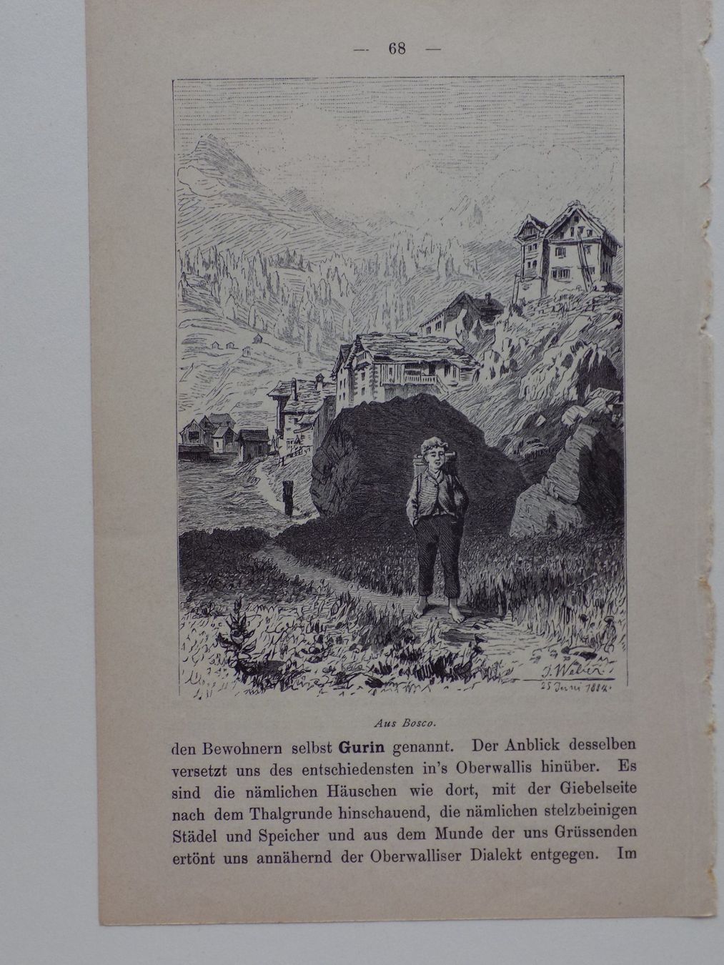 Stiche: Bosco Ticino – Gebraucht aus Risch von Rischli15