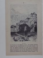 Bosco Ticino