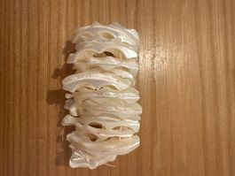 Armband aus Muscheln,  elastisch
