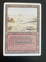Magic Gathering Karte Badlands Revised guter Zustand
