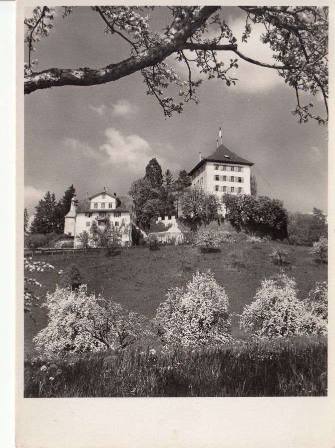 Cartoline postali: Heidegg 1951 – Usato da Bürglen TG venduto da StampGraf