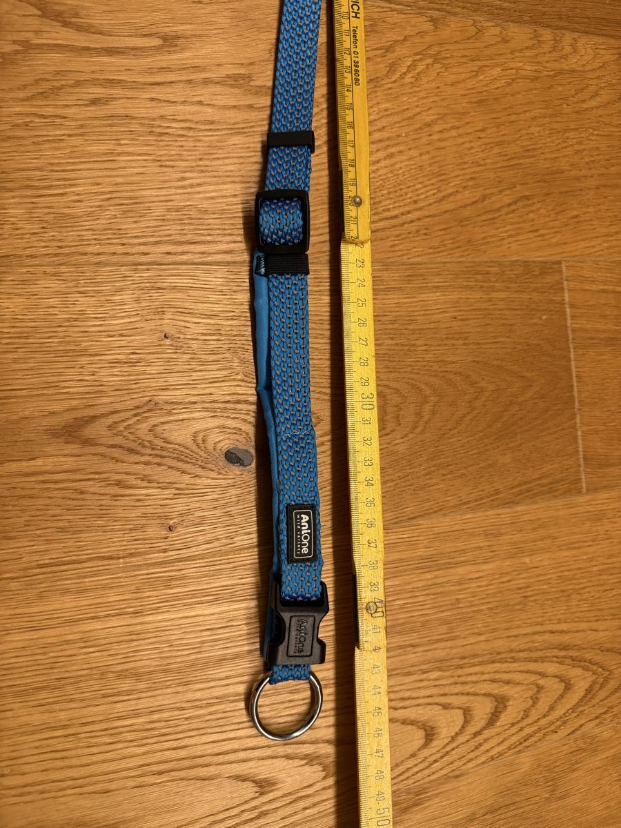 Nastri decorativi: Hundehalsband Anione M – Nuovo (secondo la descrizione) da Winterthur venduto da 2mirj 1