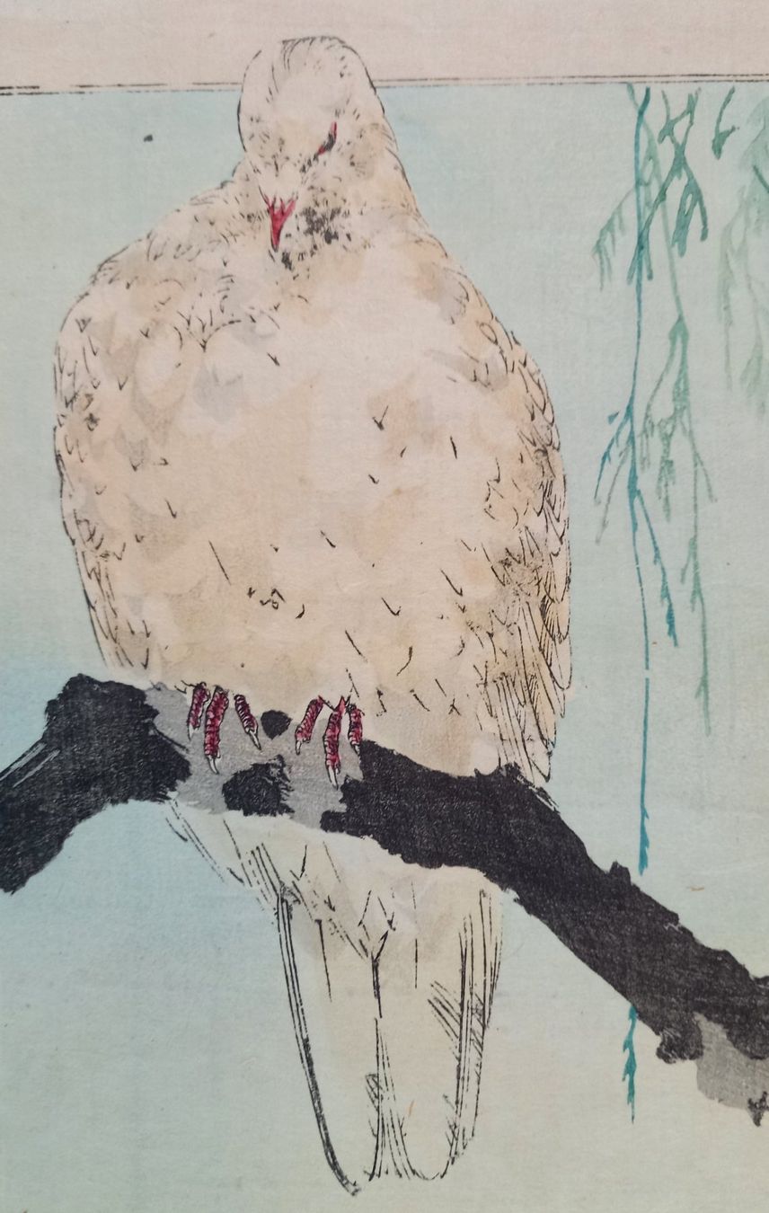 Grafica & Litografie: belle estampe oiseau sur sa branche – Usato da Lausanne venduto da leneko 2