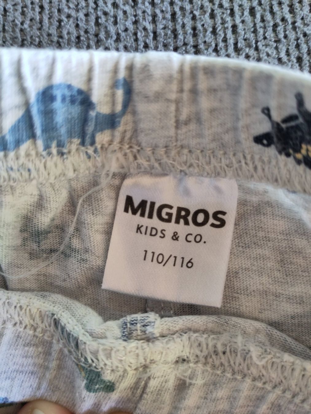 Migros Pigiama & Simili: Pyjama Dino lang 110/116 Baumwolle – Usato da Romont FR venduto da may_x6gf 8