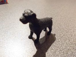 Hund schwarz