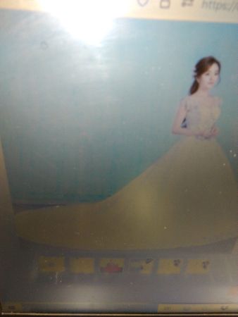 Gryffon Hochzeit Kleid Sexy V-ausschnitt Spitze Stickerei
