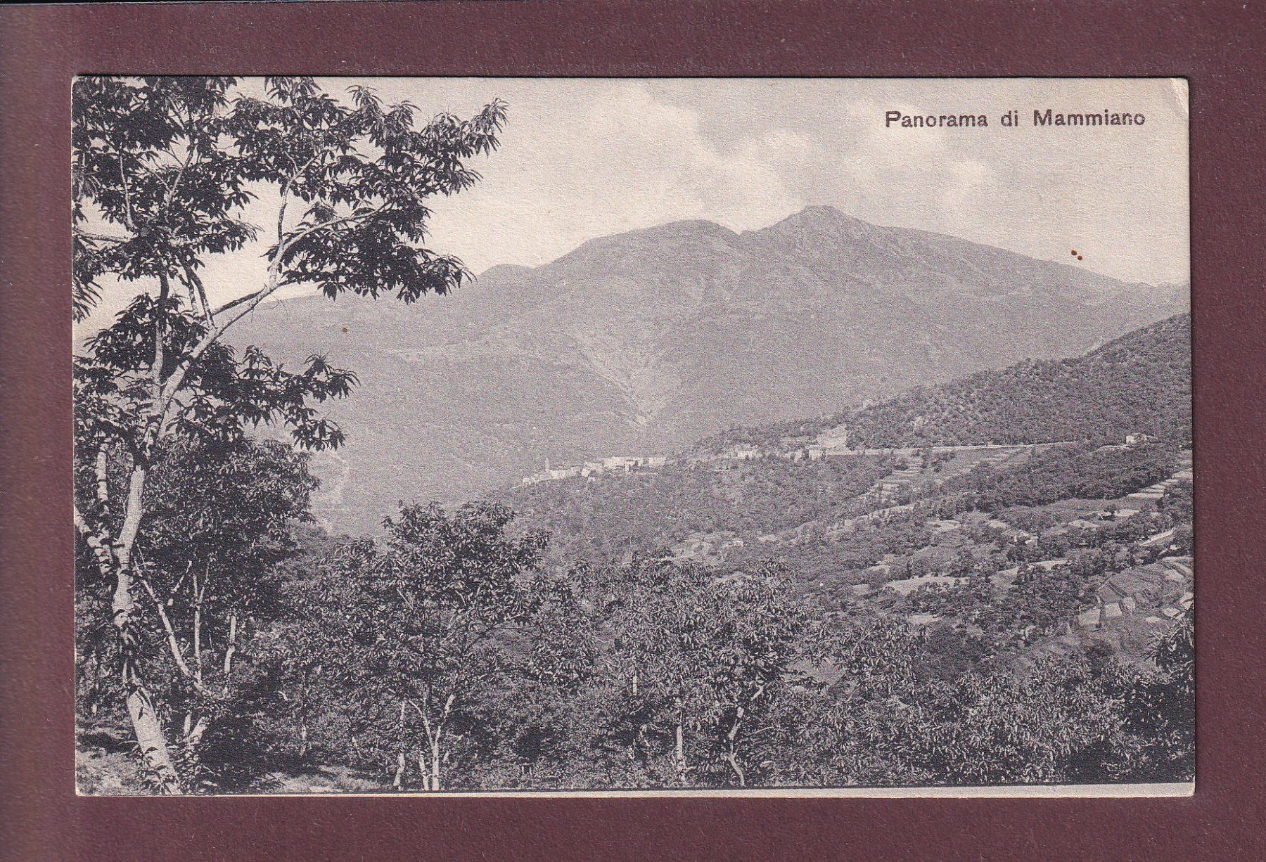 Cartes postales: Panorama di MAMMIANO – D'occasion à Pully par nicecards