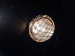 Exo Terra Light Dome Terrarium Lampe für Tiere