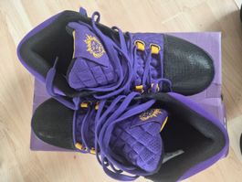 Nike LeBron Witness 5, Grösse 45 , NEU  Zustand, Schwarz/Lil