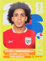 Panini FIFA World Cup PAN 12