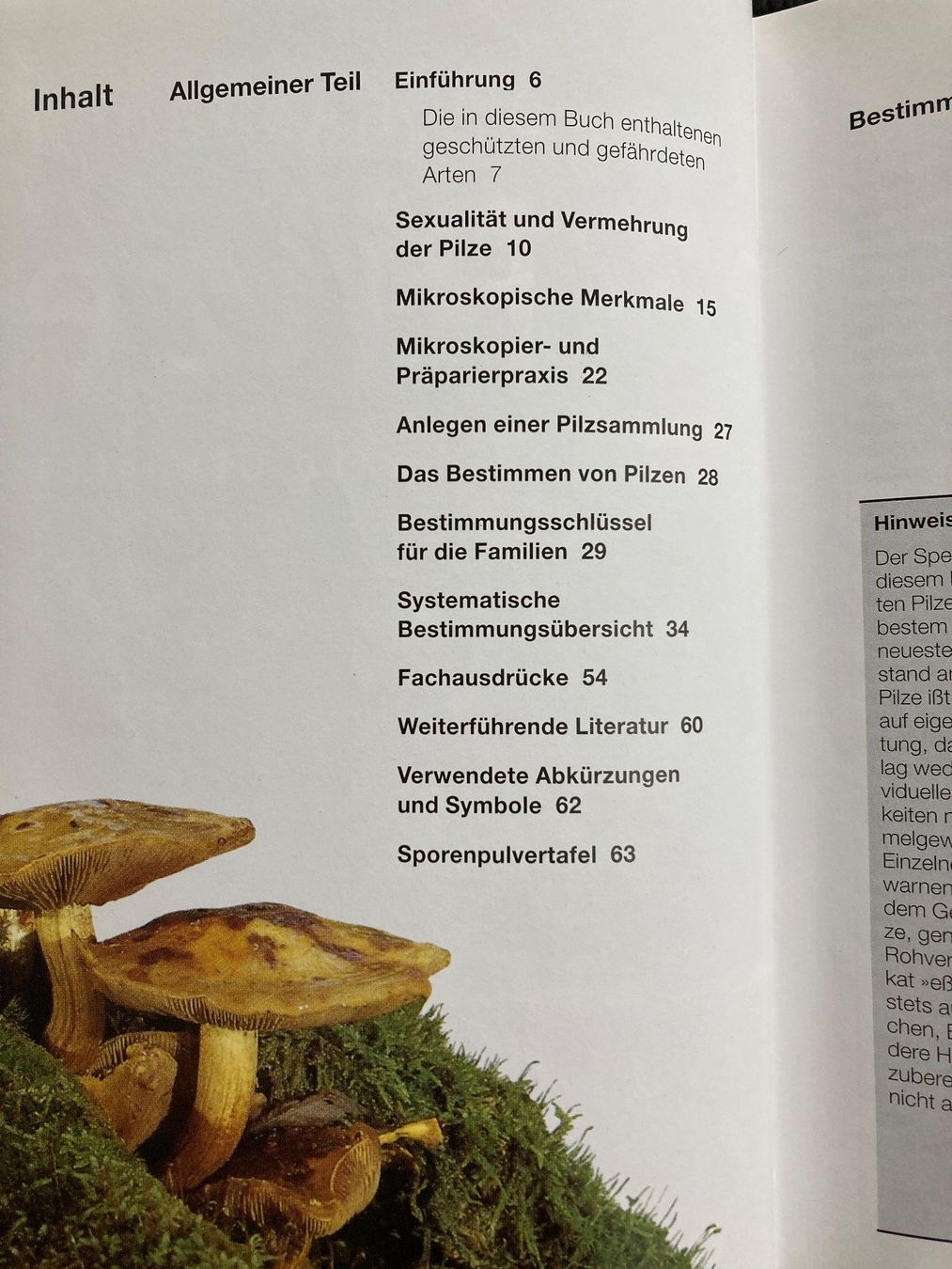 Bücher: BLV Handbuch Pilze,  638 Seiten – Gebraucht aus Baden von Yoyo1 1