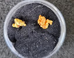 Goldnugget aus Canada