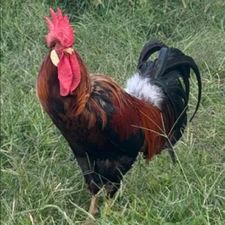 Profile image of her_9qxq