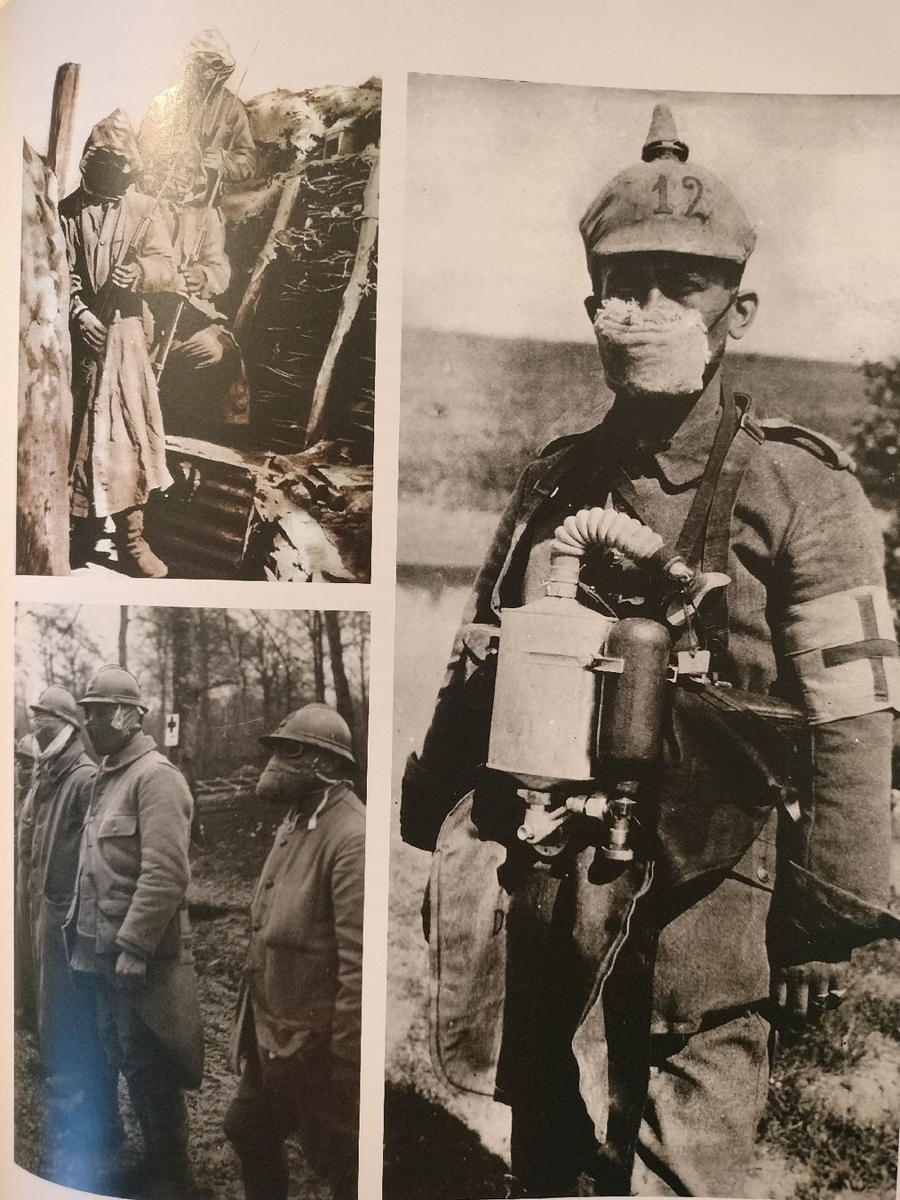 Libri: Buch, Der erste Weltkrieg – Usato da Schwanden Sigrisw venduto da cadieux71 6