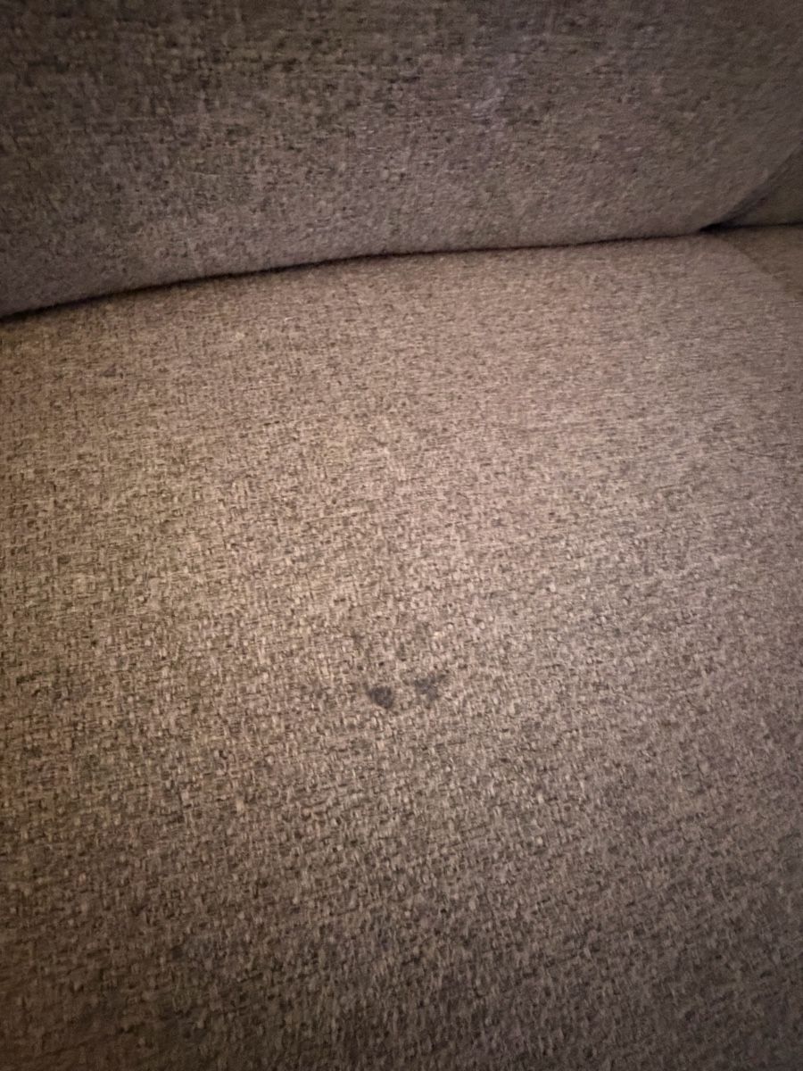 Conforama Sofas: Bettsofa – Gebraucht aus Bern von ntz_58f7 3
