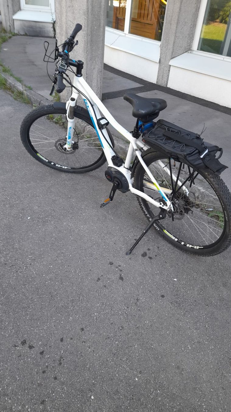 Voiturettes électriques: Verkaufe E-Bike  – D'occasion à Bronschhofen par bjoern_pel 5
