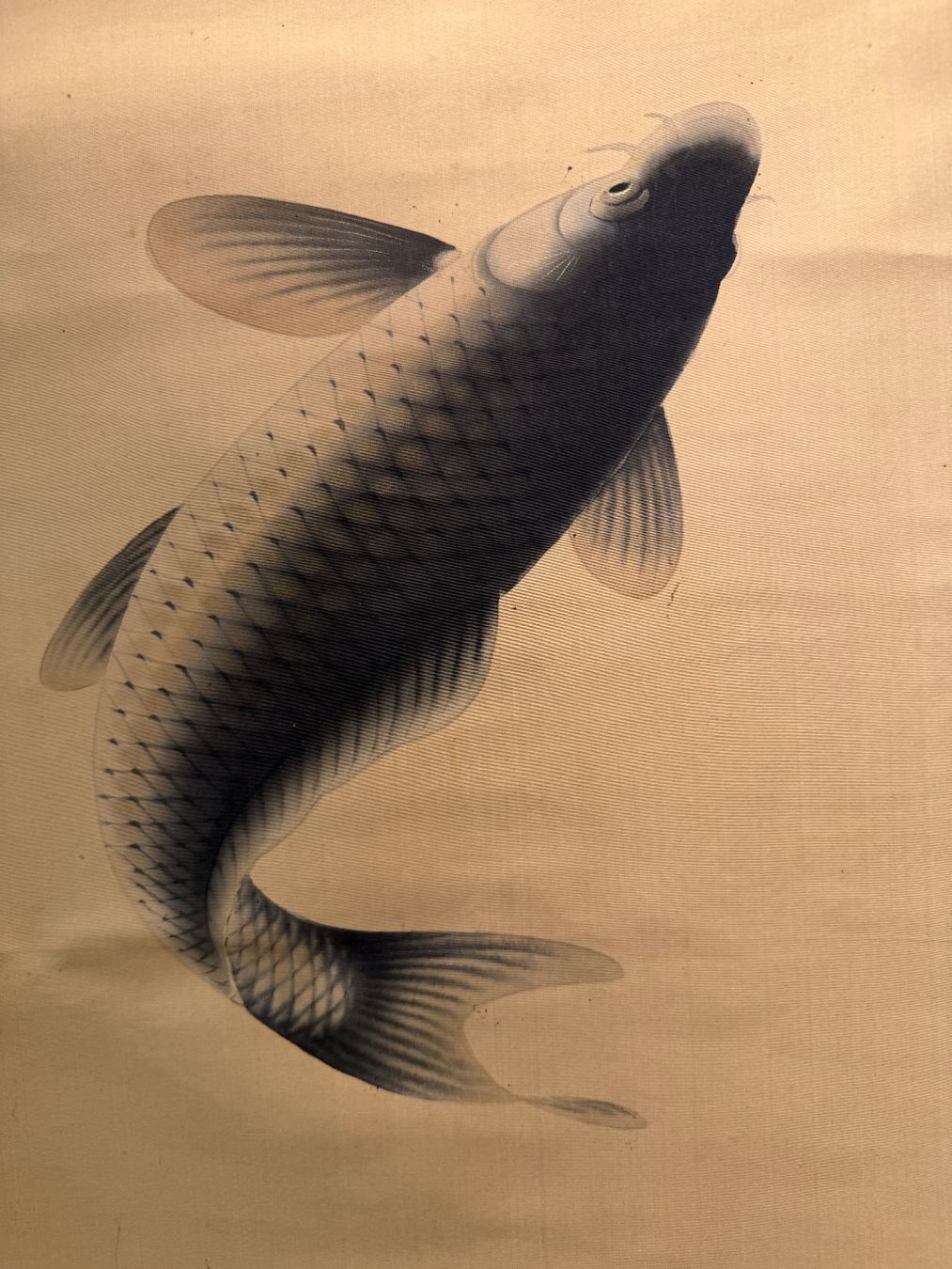 Foto & Immagini: Rollbild Japan Kakejiku „Koi" – Usato da Bern venduto da mbtiti