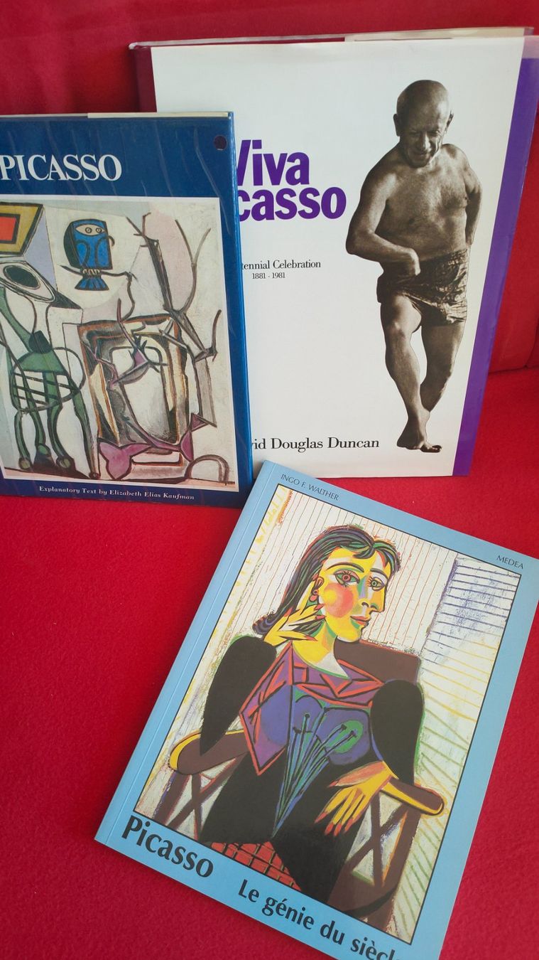 Bücher: Picasso – Gebraucht aus Crans-Montana von Camphill