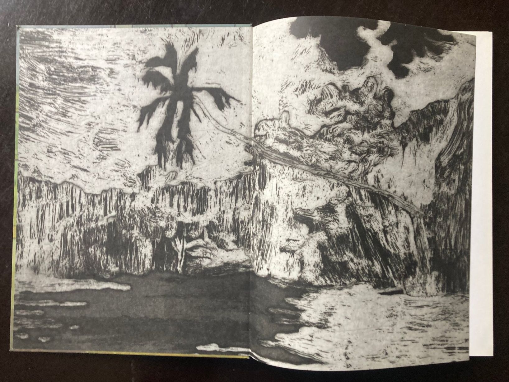 Libri: Peter Doig: Metropolitain – Usato da zürich venduto da Tombola8 2