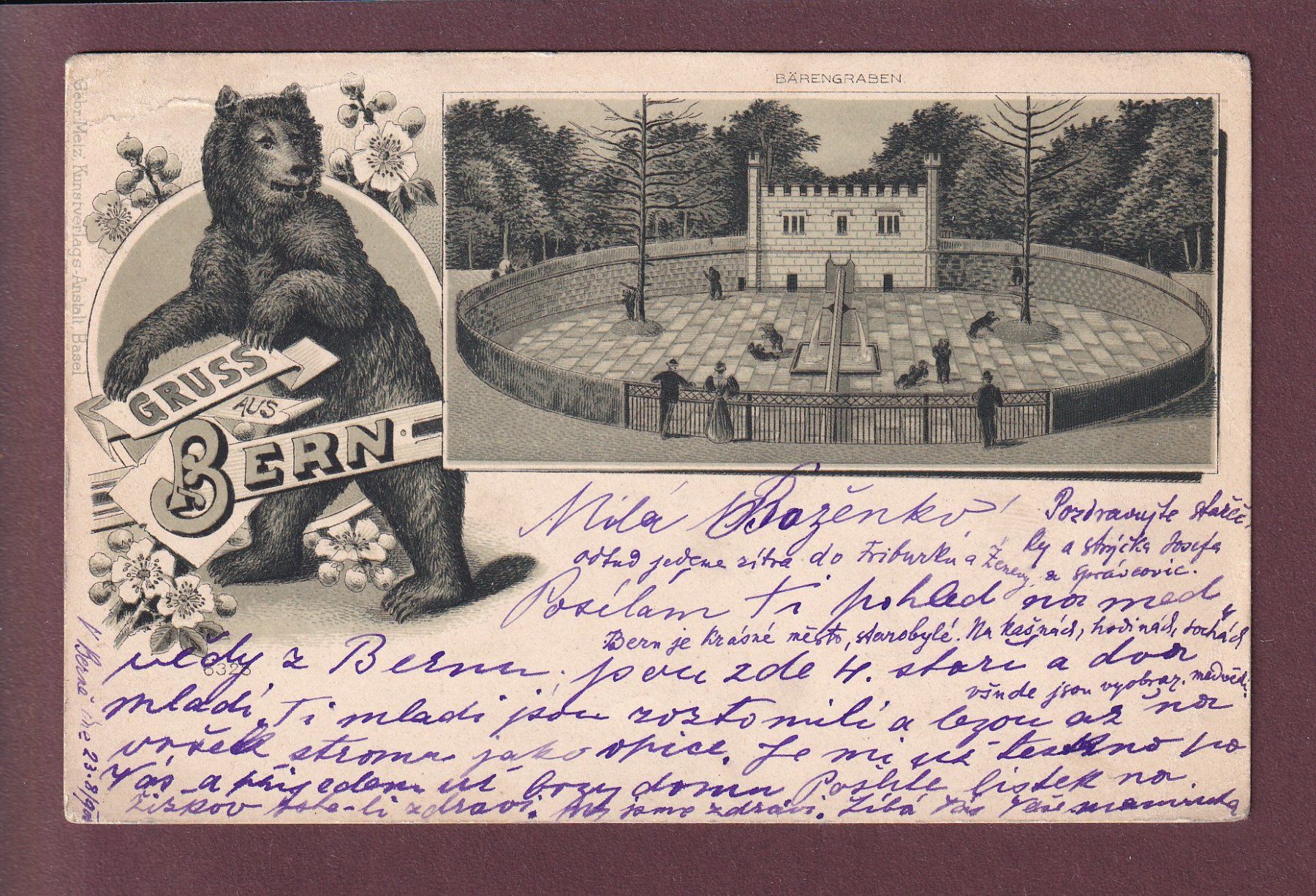 Cartoline postali: BERN - Bärengraben - 1900 UPU // Falte + Eckbug // – Usato da Pully venduto da nicecards