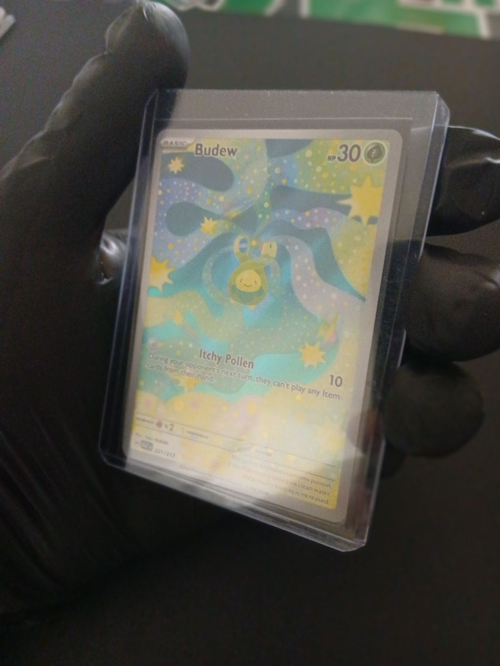 Pokémon Carte collezionabili: Ascended Heroes Budew Pokémon EN – Nuovo (secondo la descrizione) da Regensdorf venduto da Baba_Basar 2