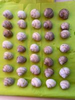 🐌Schneckenhäuser🐌 35 Stück, Natur pur