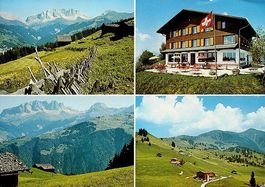 SCHIERS Berghaus Mottis Stels