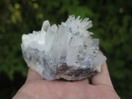 Bergkristall mit Galena von Bulgarien