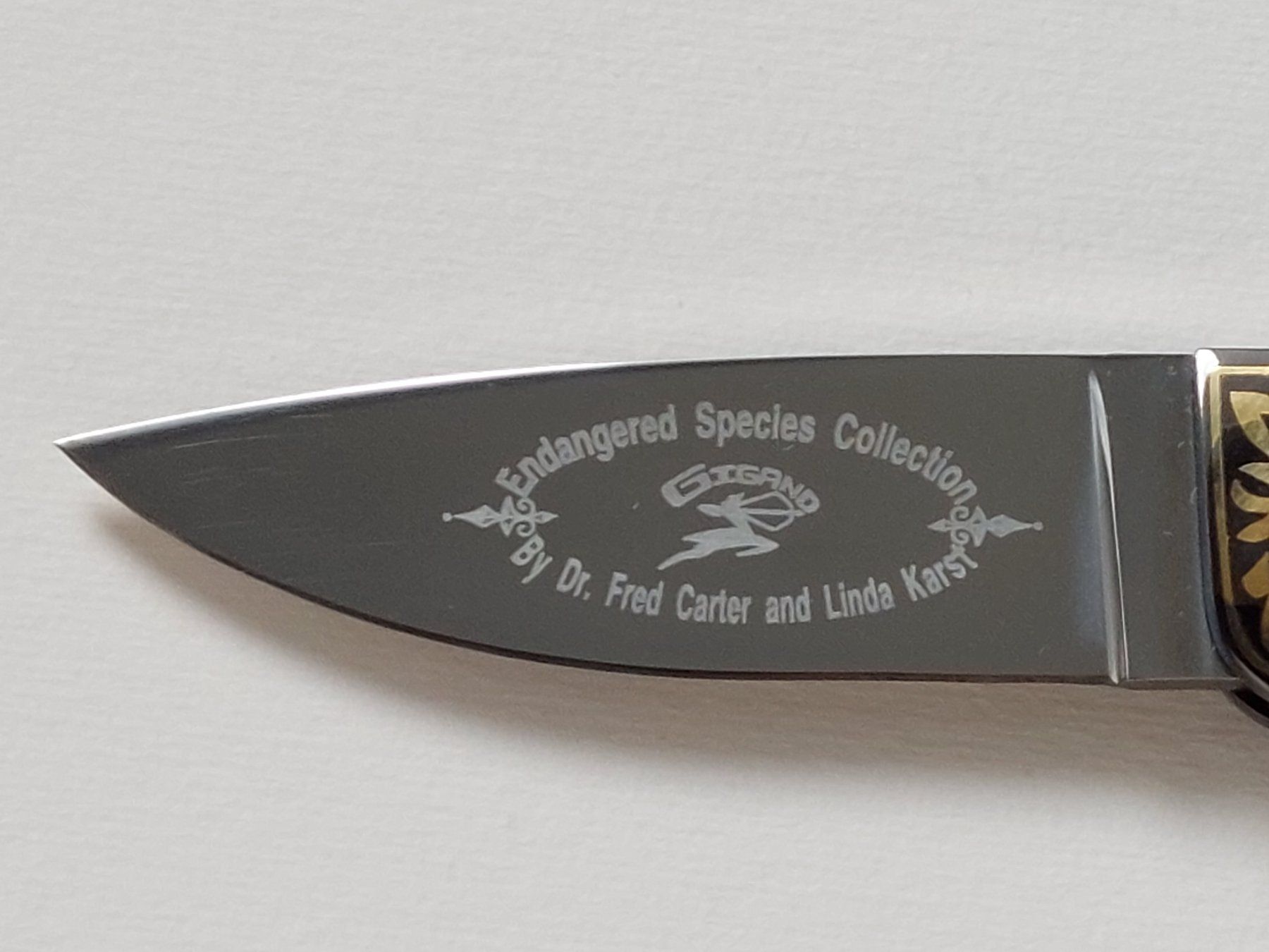 Zubehör: Gigand Knives - Endangered Species Collection - "Eagle" – Neu (gemäss Beschreibung) aus Liebefeld von Helveticus6 2