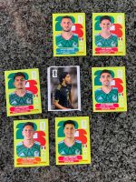 Panini Stickers