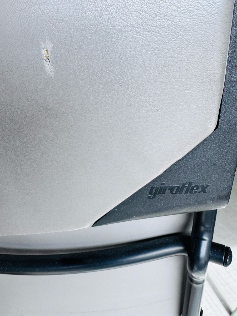 Giroflex Sedie: Chaise bureau toute réglable.  – Usato da Farvagny-le-Petit venduto da Ganor 2