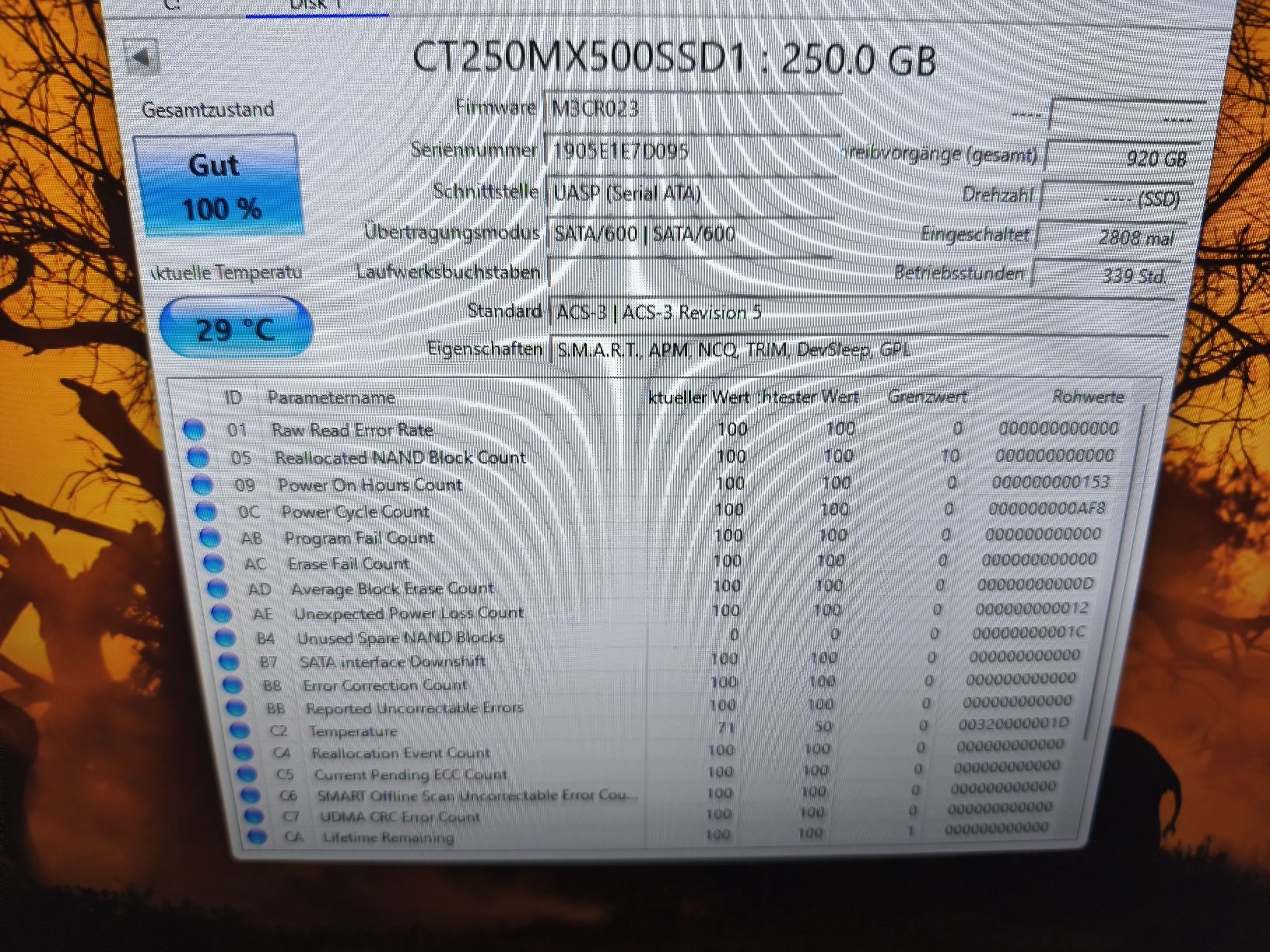 Crucial Harddisks: 2 Festplatten 250 Gb – Gebraucht aus Burgdorf von weggu.666 1
