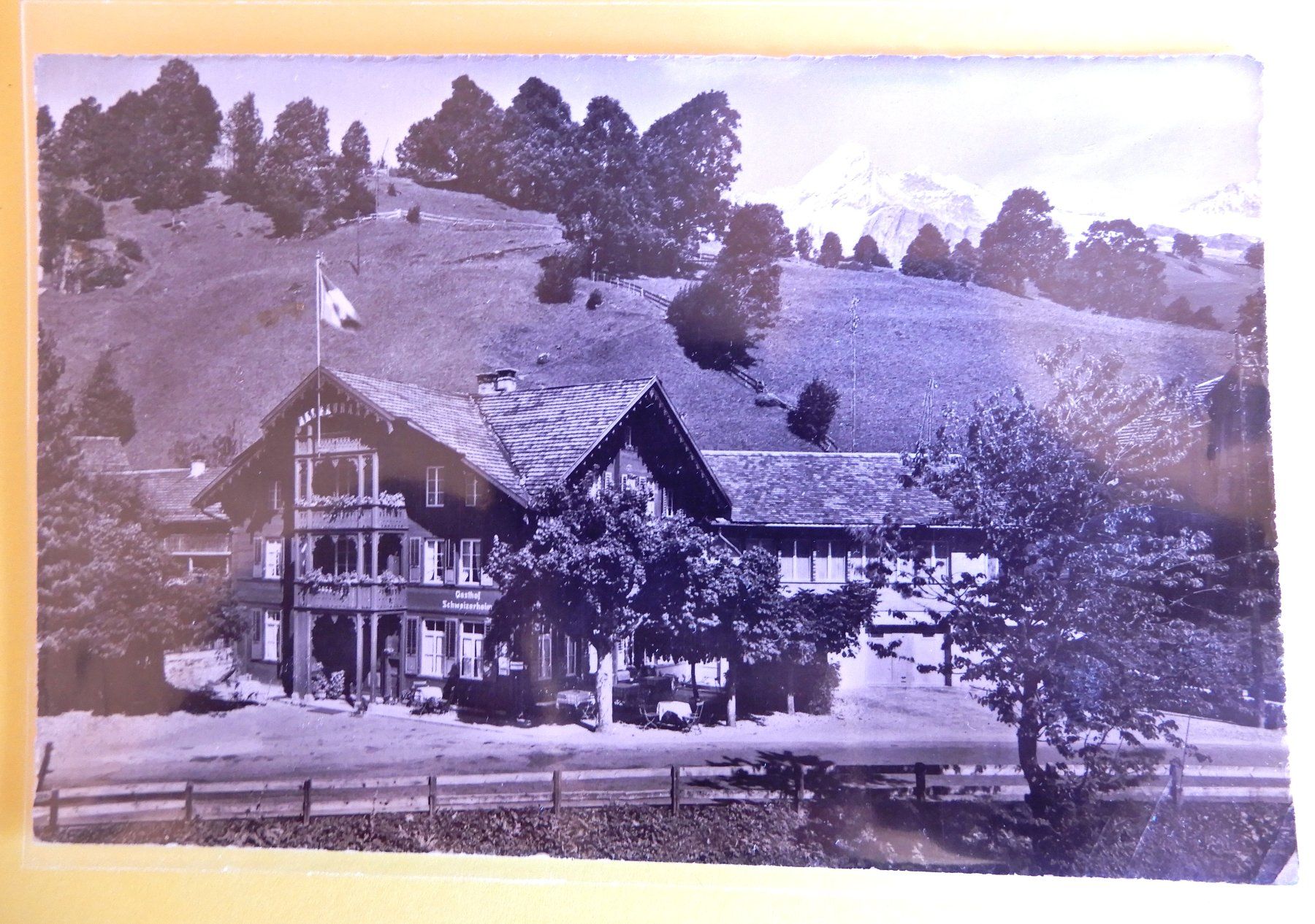 Cartoline postali: Alte Ansichtskarte Hotel Schweizerheim Grindelwald-Schwendi – Usato da Senèdes venduto da Framboise52