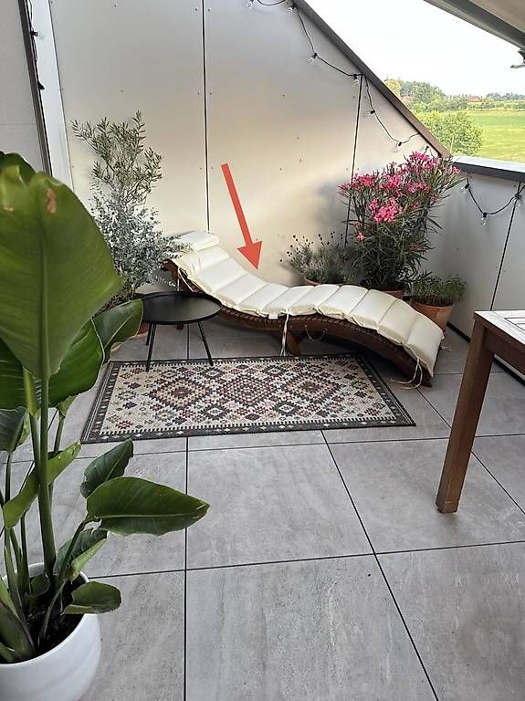 Sedie a sdraio: Gartenliege-Auflage – Usato da Ellikon an der Thur venduto da swissmike01 2