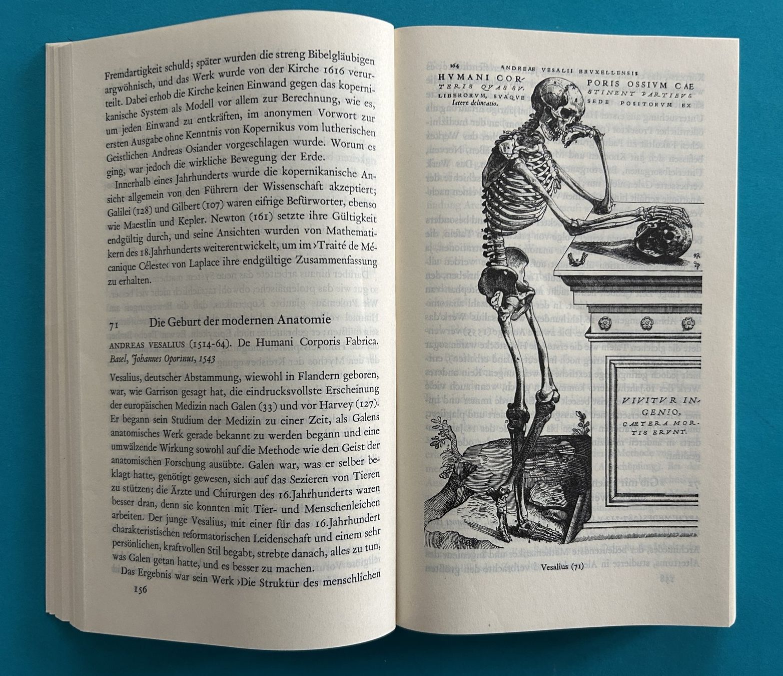 Livres: 424 BÜCHER – D'occasion à Zürich par Domus09 2