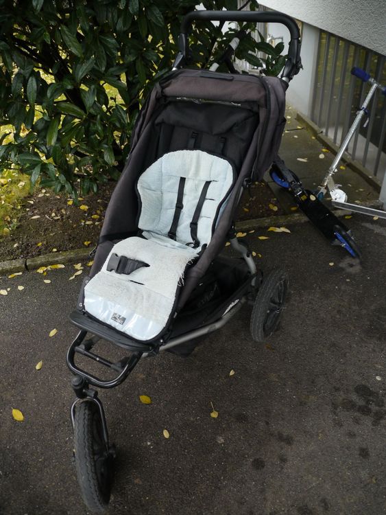 One tree hill mountain hot sale buggy