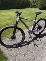 TOP Mountainbike hellgrau Stoke Mace 29 neuwertig