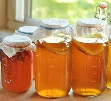 Cibi & Specialità: Bio Kombucha Teepilz + Ansetzflüssigkeit – Nuovo (secondo la descrizione) da Winterthur venduto da Aniger 1