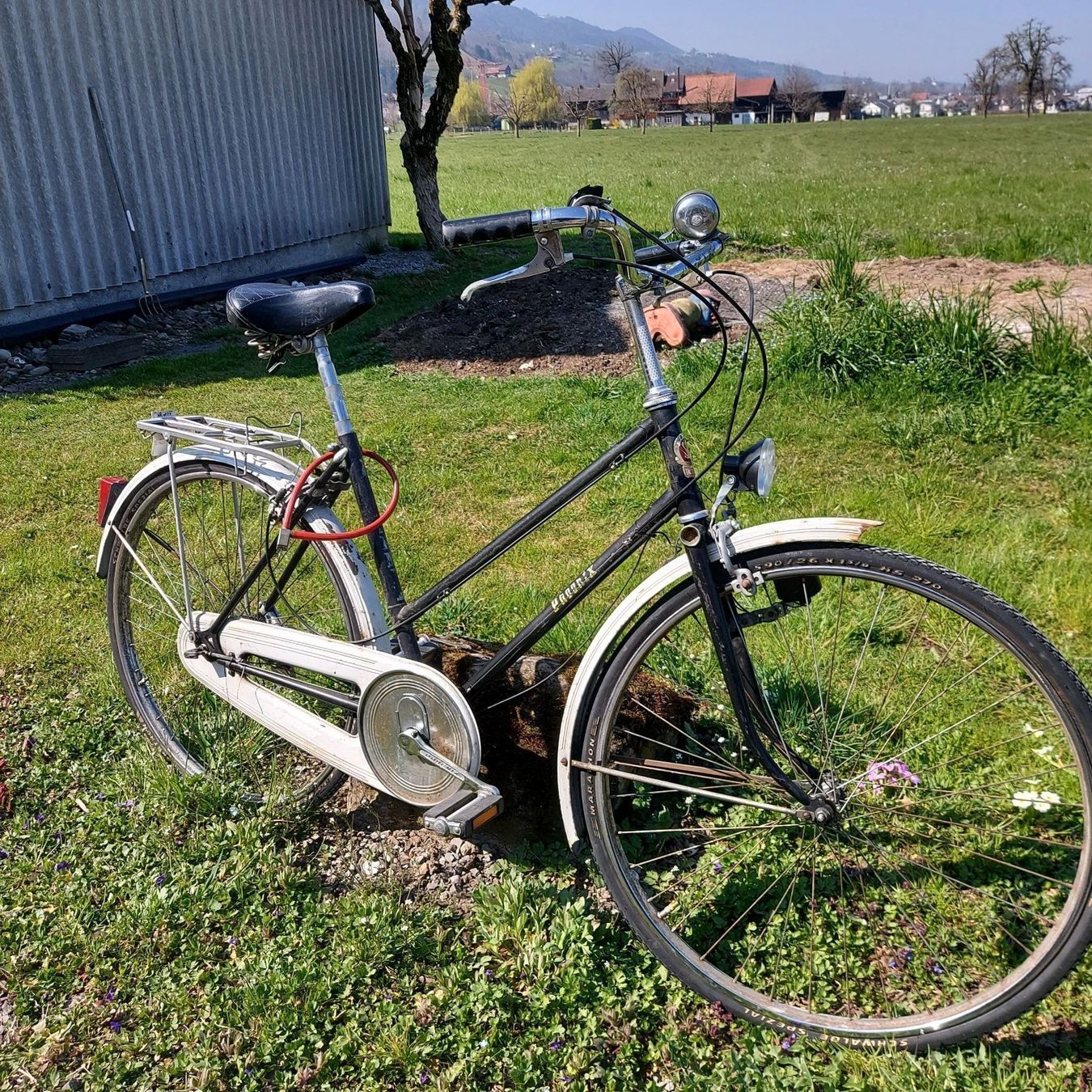 Biciclette: Velo Feng Huan-Phoenix – Usato da Siebnen venduto da Mark_SZ 4