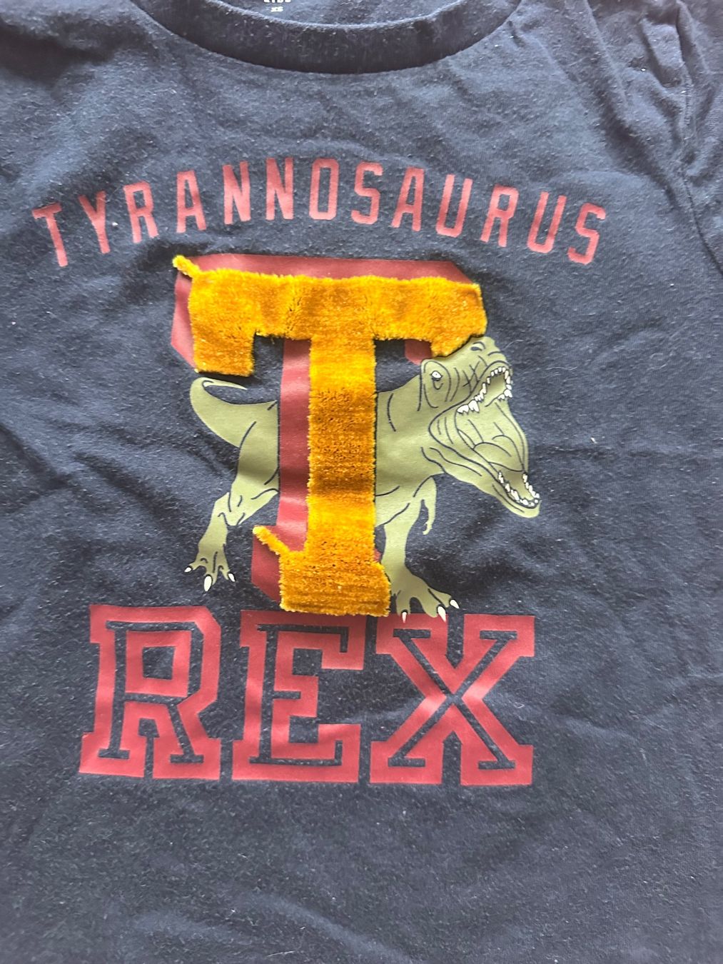 Gap Hemden, T-Shirts & Polos: GAP T-Shirt – Gebraucht aus Dürrenroth von tvy_bh56 1