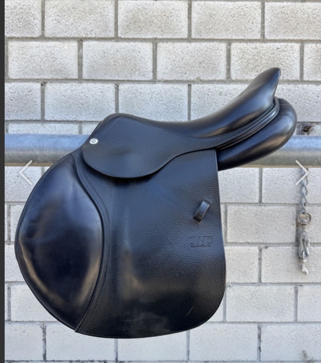 Selle & Accessori: CWD Springsattel – Usato da Egliswil venduto da TanjaH77