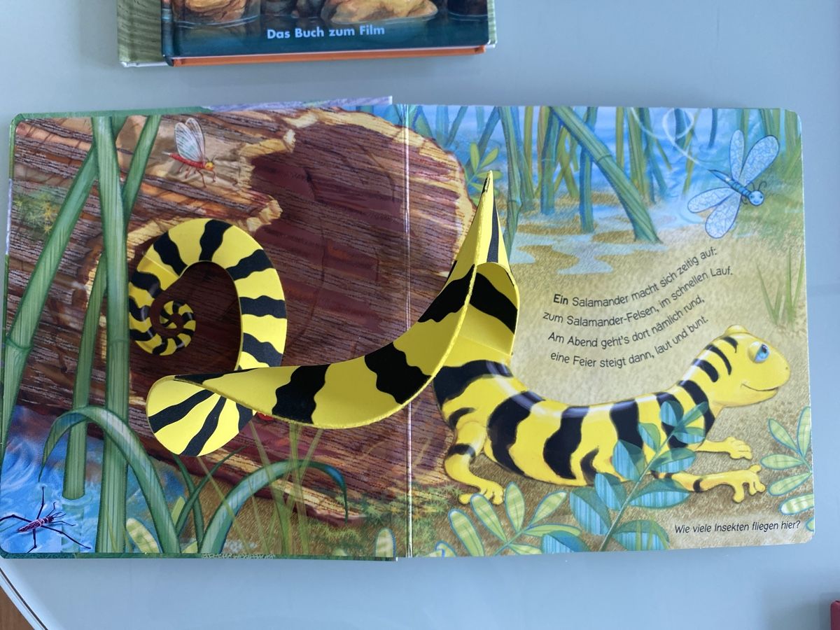 Libri: Pop-up Buch "Auf dem Salamander-Felsen" – Usato da Schmerikon venduto da SwissKFO 1