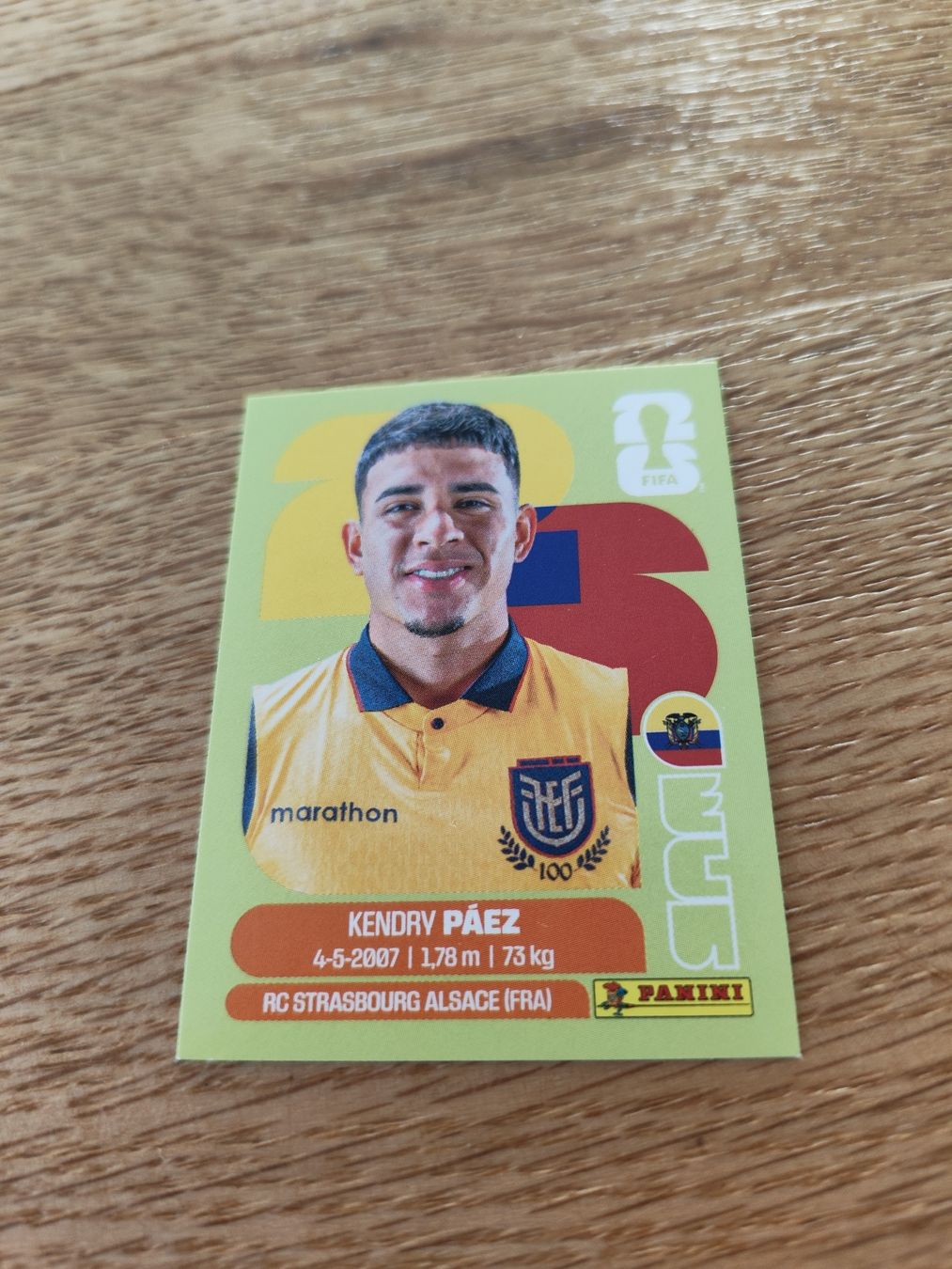Panini Carte collezionabili: Panini Wm 2026 Ecu 11 – Nuovo (secondo la descrizione) da Lieli venduto da Maholo